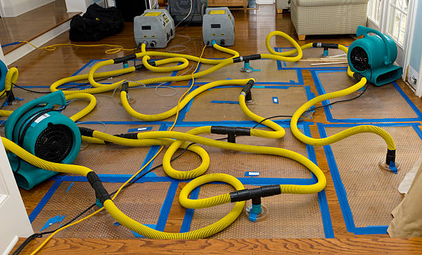 Professional Sewage Cleanup technician working in Burlington, WA
